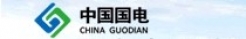 中國(guó)國(guó)電新能源有限公司