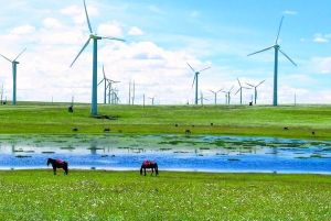 【中標(biāo)信息】2016年我公司中標(biāo)內(nèi)蒙古（電力）有限責(zé)任公司包頭供電局農(nóng)網(wǎng)項(xiàng)目